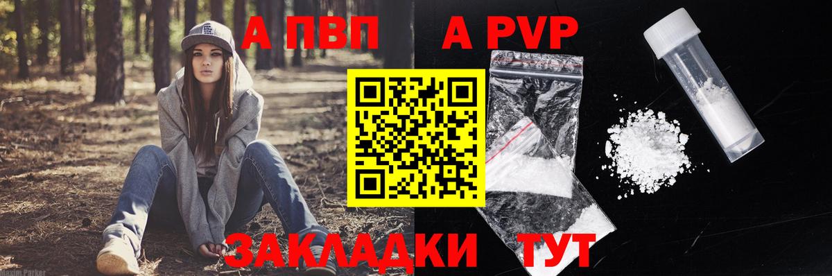 A PVP СК Электрогорск