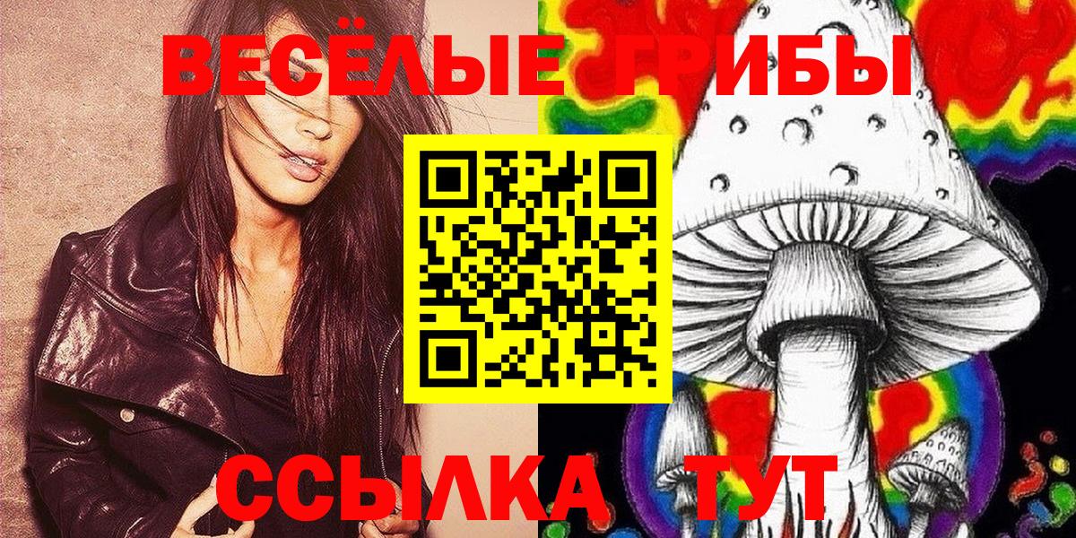 Электрогорск  Псилоцибиновые грибы GOLDEN TEACHER  где продают   Вход с VPN 